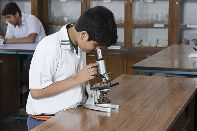 Rosary Sr. Sec. School Delhi